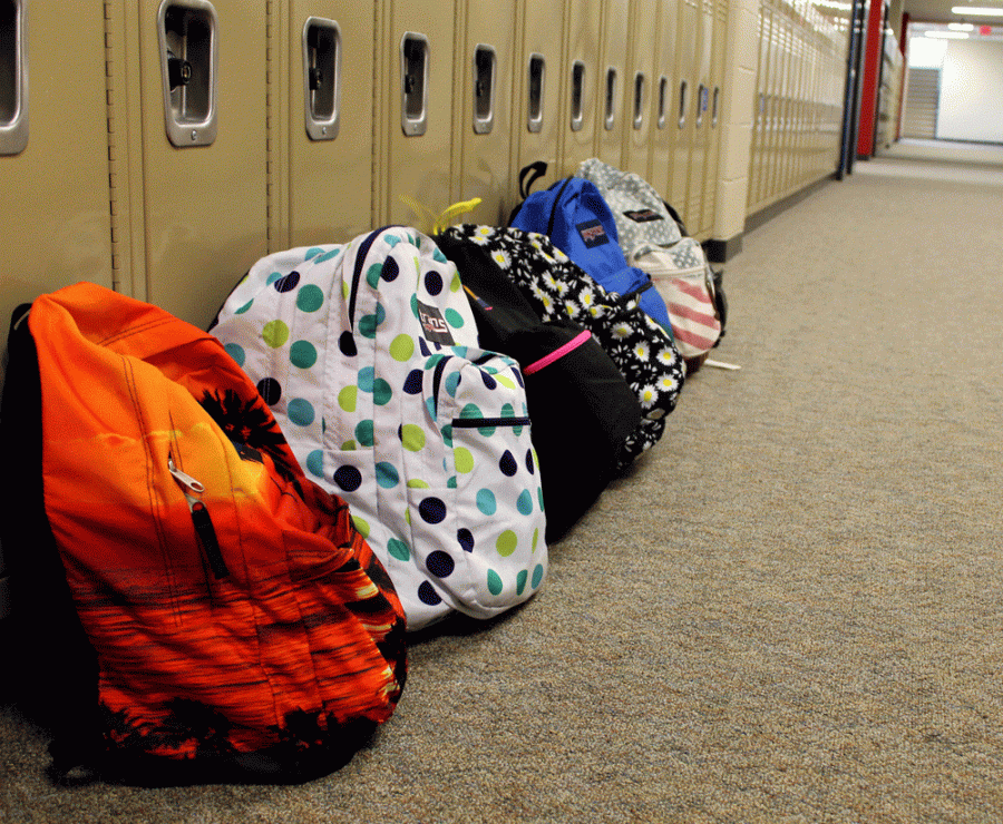 Falcons give us Backpack Tours