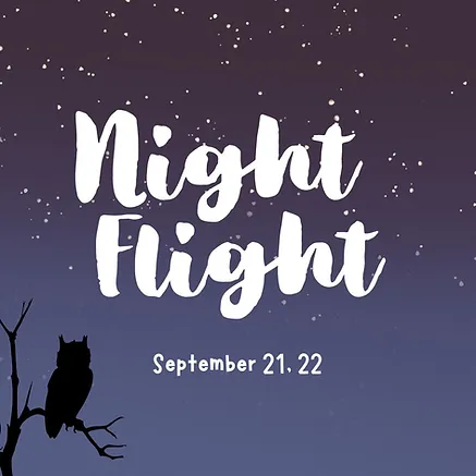 Nightflight promotional poster