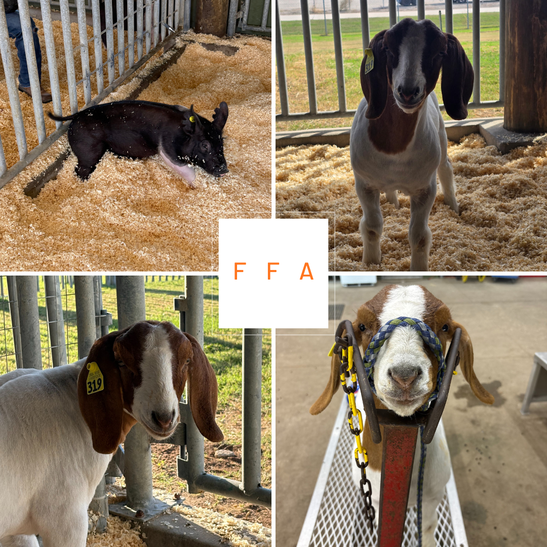 FFA Barn Cleaning
