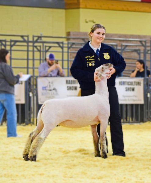 Campbell presenting her goat at competition 